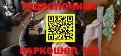 ГАЛЛЮЦИНОГЕННЫЕ ГРИБЫ Пугачёв